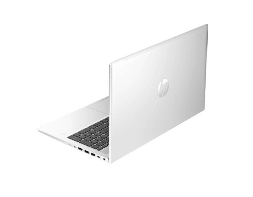 HP Probook 455 G101