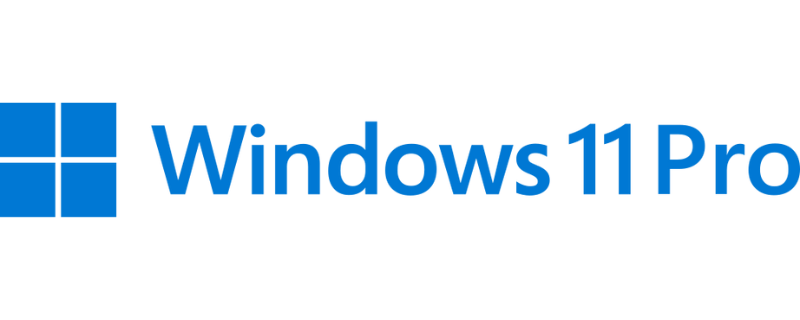 Windows_11_Pro_logo